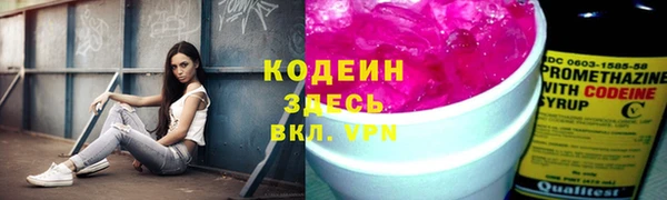 мет Карпинск