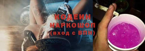 прущий лед Касимов