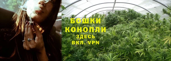 мет Карпинск